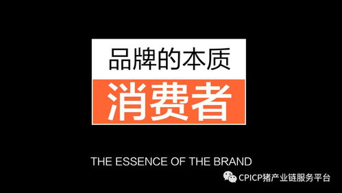 肖一刀 從無到有，打造豬肉品牌的創新之路