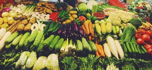 野菜嘗鮮需謹慎，小餐飲安全莫忽視