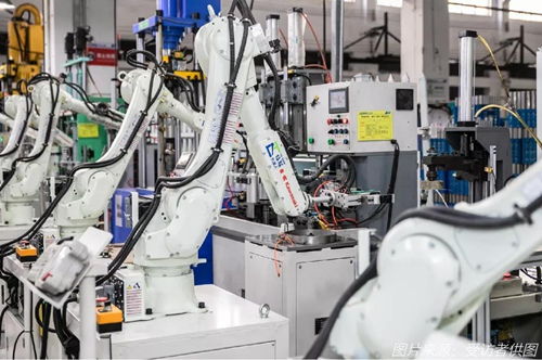 續(xù)命還是趨勢？外貿(mào)企業(yè)“出口轉(zhuǎn)內(nèi)銷”的真心話與大冒險